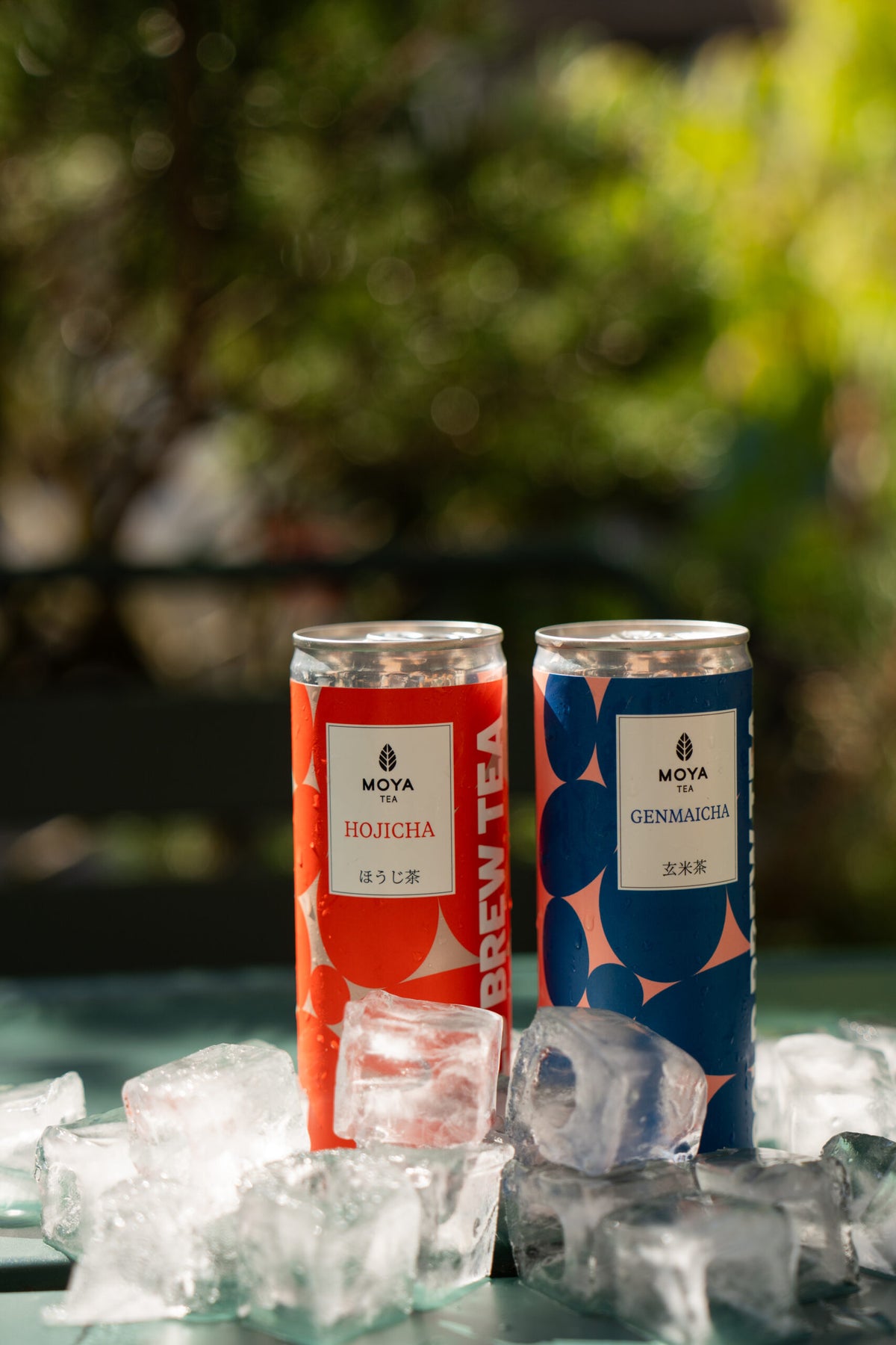 Moya Cold Brew Hojicha - 250 ml drink